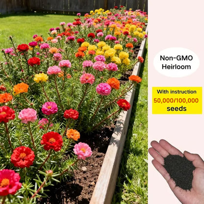 💫🌸BUY 1 GET 1 FREE | Moss Rose🌿Perennial Flower Seeds With Plant Growth Supplement
