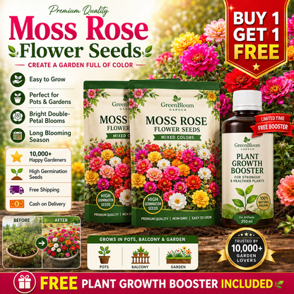 💫🌸BUY 1 GET 1 FREE | Moss Rose🌿Perennial Flower Seeds With Plant Growth Supplement