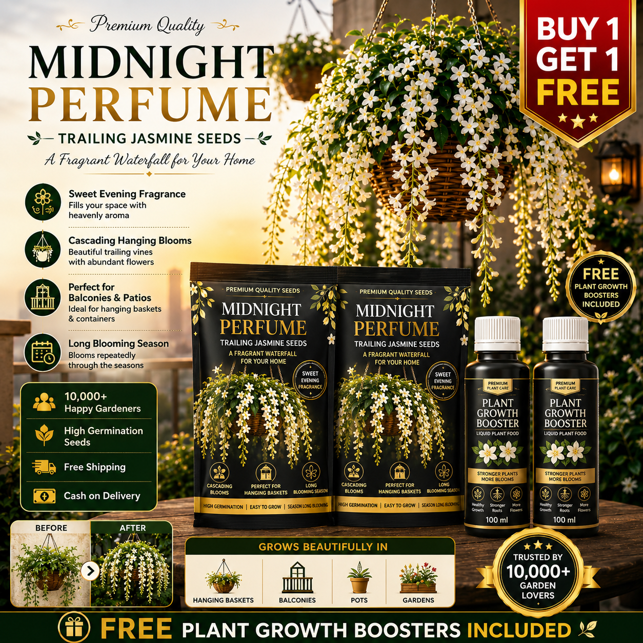 💐 MIDNIGHT PERFUME - WEEPING JASMINE SEEDS 💐🌸 Buy 1 Get 1 Free 🌸